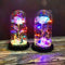 Enchanted Rose Light In Glass Dome