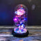 Enchanted Rose Light In Glass Dome