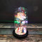Enchanted Rose Light In Glass Dome
