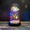 Enchanted Rose Light In Glass Dome