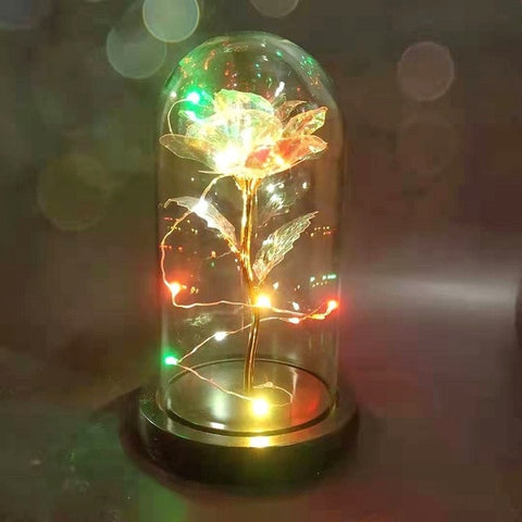 Enchanted Rose Light In Glass Dome