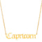 Stunning Zodiac Pendant Necklace - Excellent for any outfit