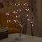 Amazing LED Night Light Bonsai